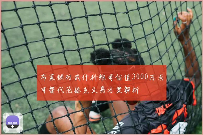 布莱顿对武什科维奇估值3000万或可替代范赫克交易方案解析