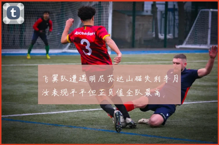 飞翼队遭遇明尼苏达山猫失利李月汝表现平平但正负值全队最高